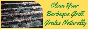 Clean Your Barbeque Grill Grates Naturally